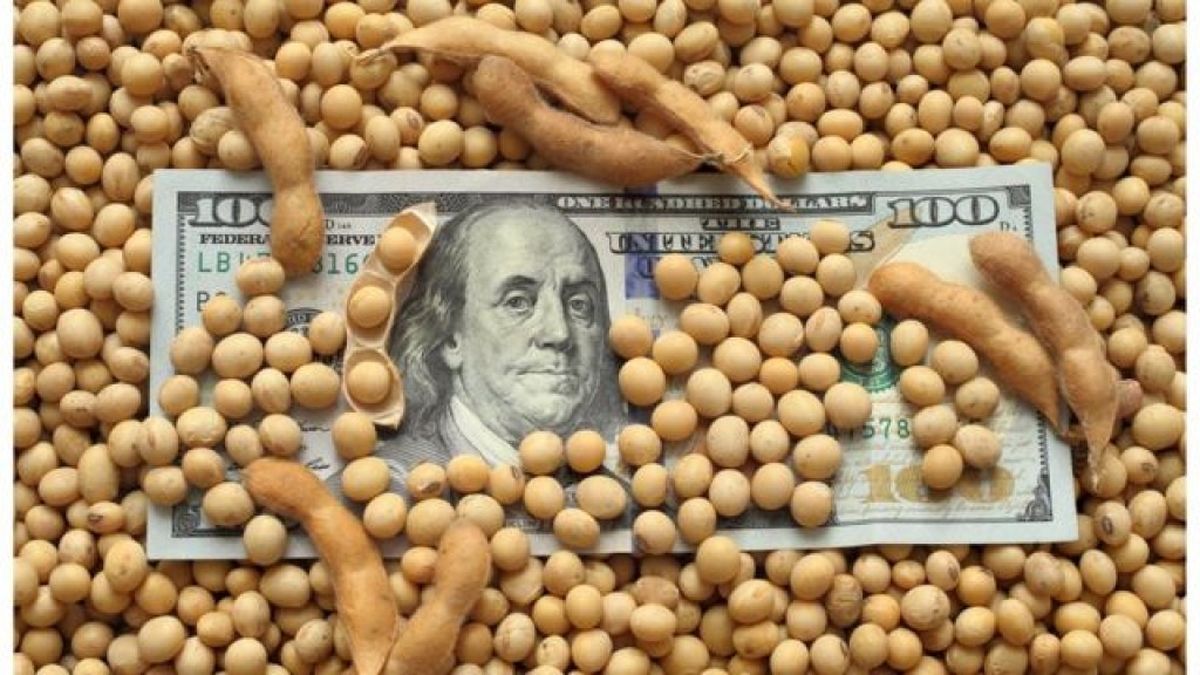 Las exportaciones de las economías regionales crecieron en septiembre Las exportaciones de las economías regionales crecieron en septiembre