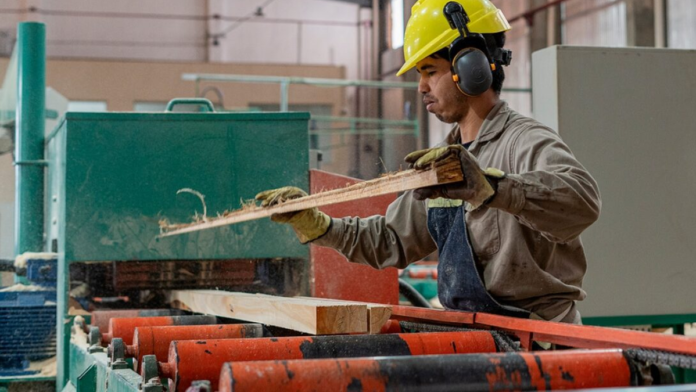 Aseguran que la actividad económica cerró 2024 con una caída Aseguran que la actividad económica cerró 2024 con una caída de casi el 3%