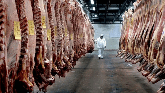 La exportación de carne cayó un 7,5% en el primer La exportación de carne cayó un 7,5% en el primer trimestre de 2025
