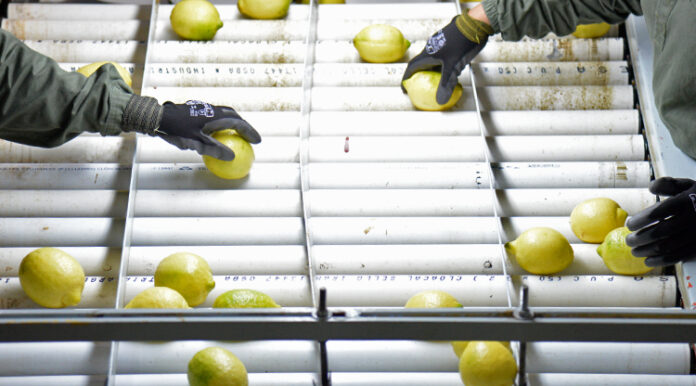 Trump suspende aranceles por 90 días a los países que no toman represalias