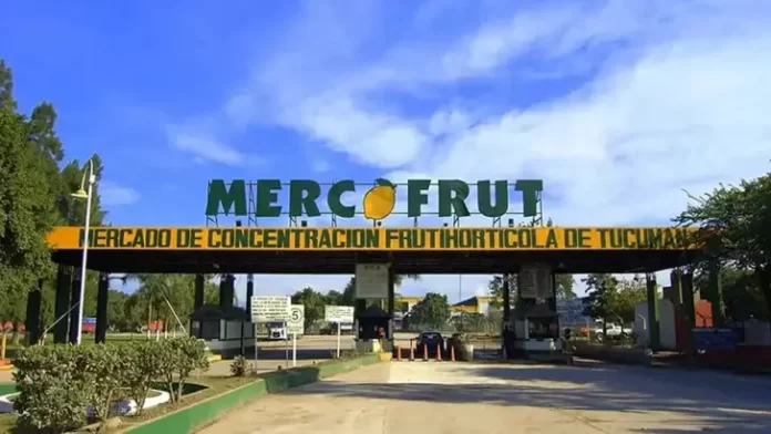 mercofrut mercofrut