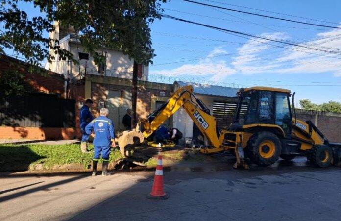 730x473_250503133921_53609