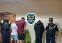 Aprehenden a tres jóvenes y secuestran 13 plantines de marihuana