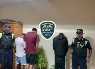 Aprehenden a tres jóvenes y secuestran 13 plantines de marihuana