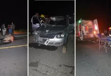 Matrimonio sufre accidente en el sur de Tucumán tras chocar con un caballo: la esposa está herida