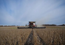 La actividad económica se hundió 2,6% mensual en febrero