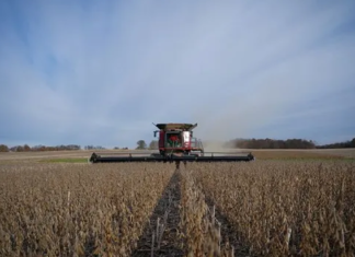 La actividad económica se hundió 2,6% mensual en febrero