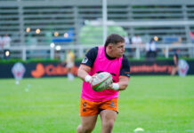 Tres tucumanos jugarán el Rugby Championship M20 con los Pumitas logo tendencias de noticias