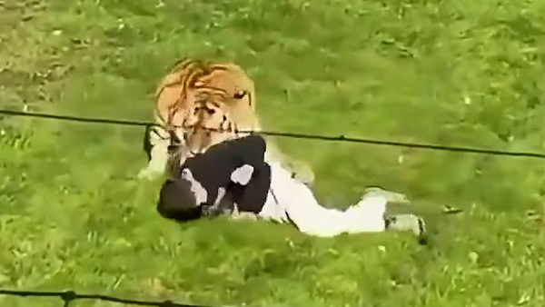 hombre-tigre.jpg