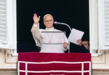 El Papa dio su primer ángelus tras la operación: «Gracias a los que rezaron por mí»